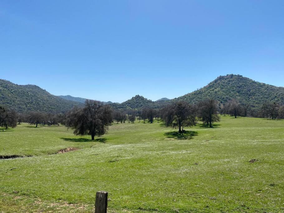 Waxberry Getaway Sequoia/Kings Canyon National Pks Yokuts Valley  Bagian luar foto