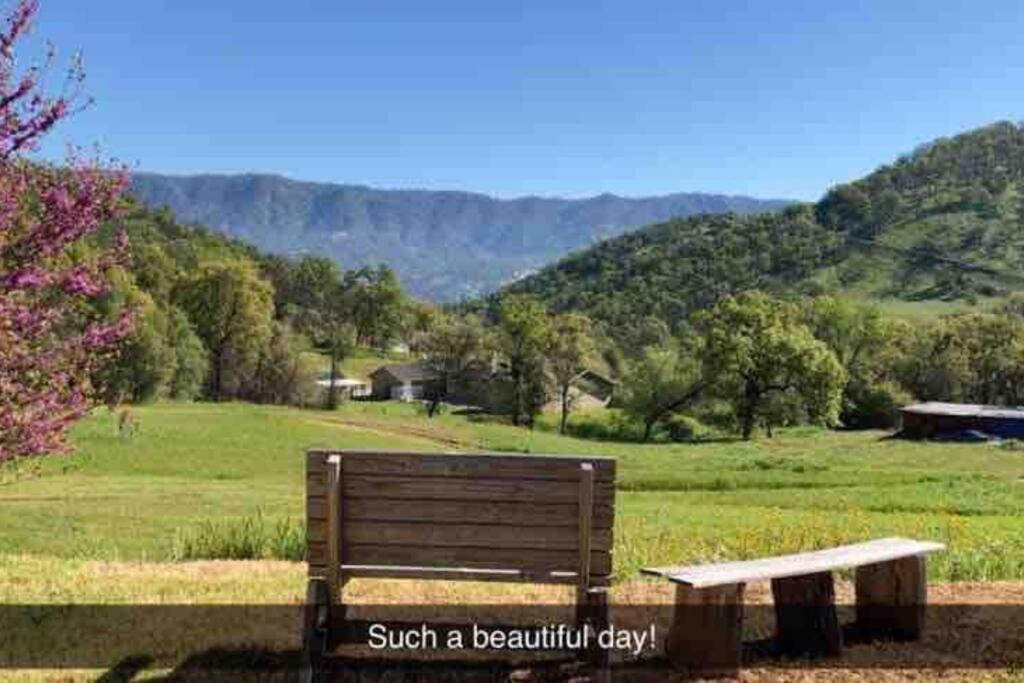 Waxberry Getaway Sequoia/Kings Canyon National Pks Yokuts Valley  Bagian luar foto