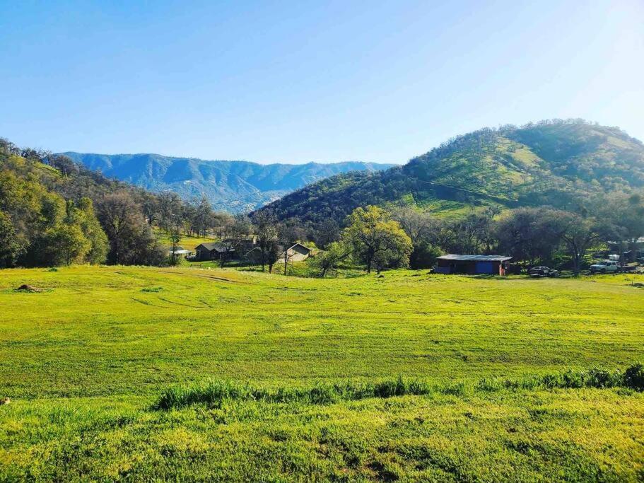 Waxberry Getaway Sequoia/Kings Canyon National Pks Yokuts Valley  Bagian luar foto